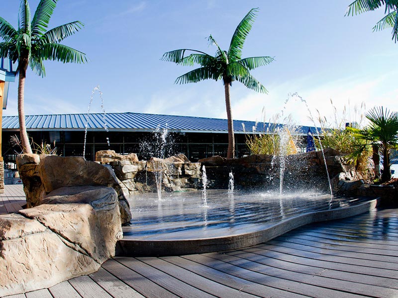 Curved MoistureShield composite deck with built-in water features, palm trees, and rocks.