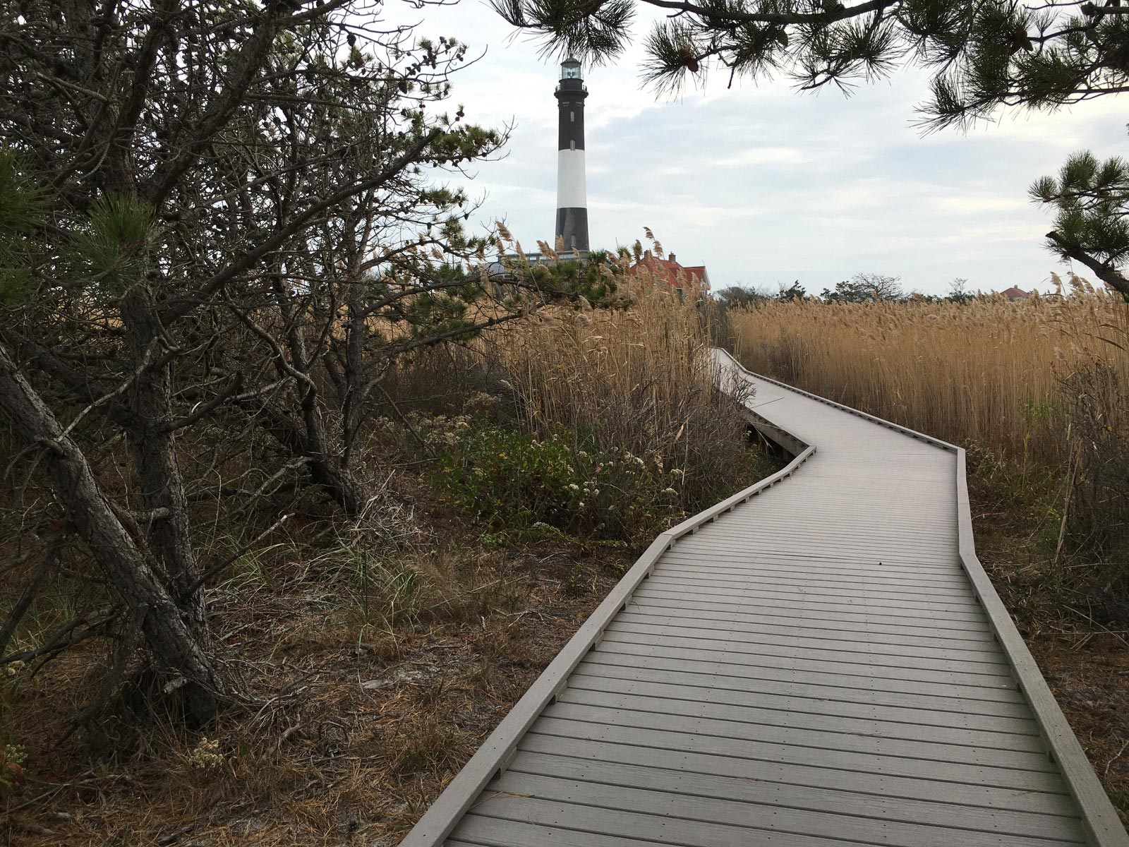 Boardwalk leading to lighthouse