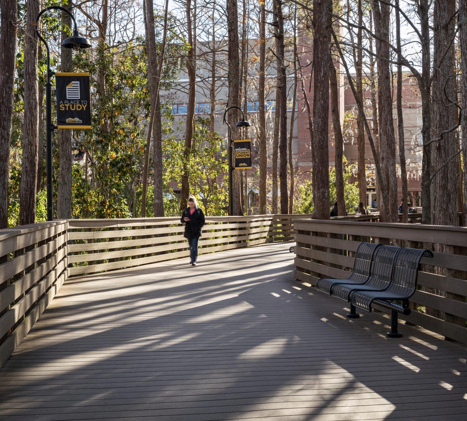 Person walking on boardwalk