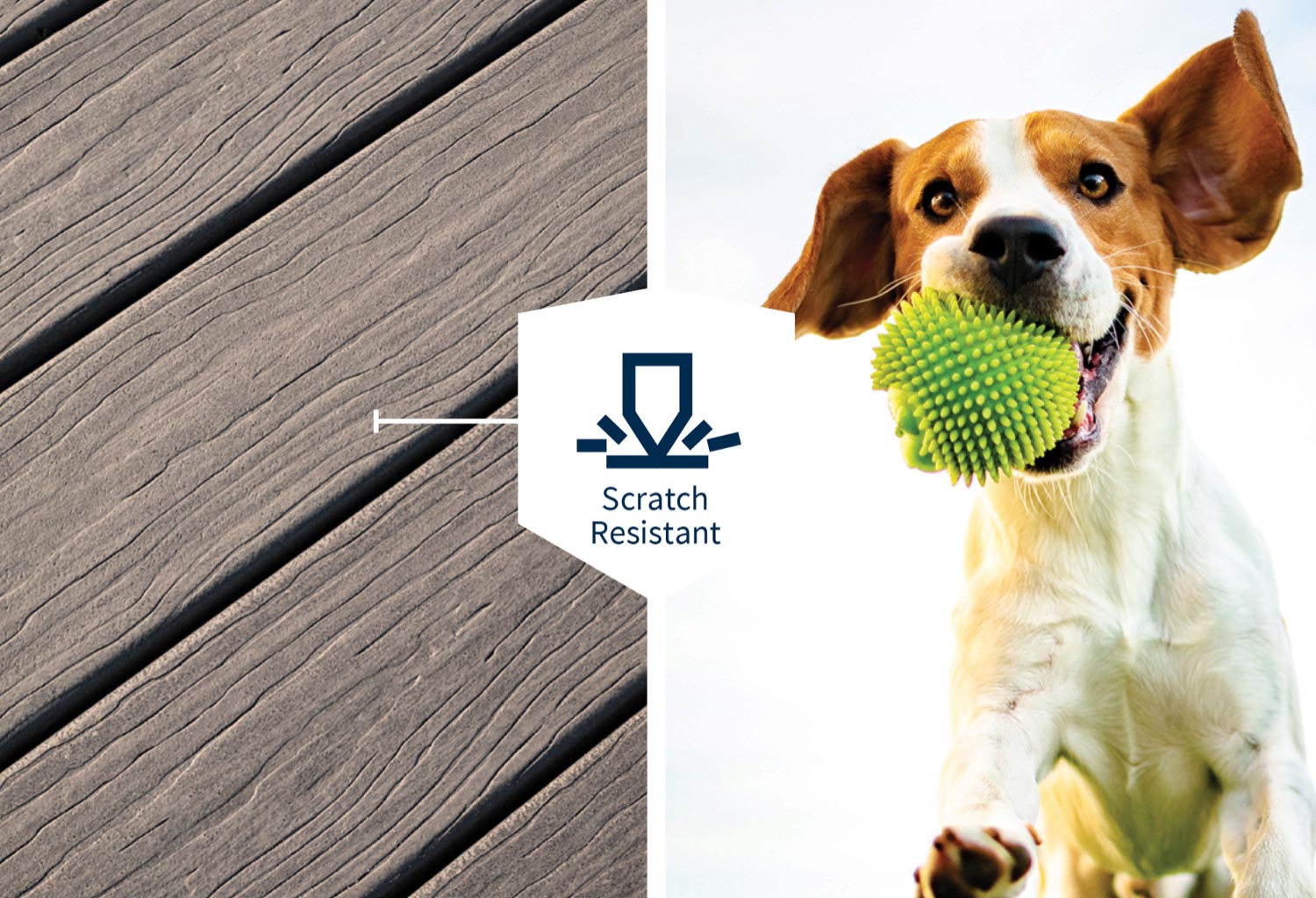 Close view of composite decking and a smiling dog with a ball.