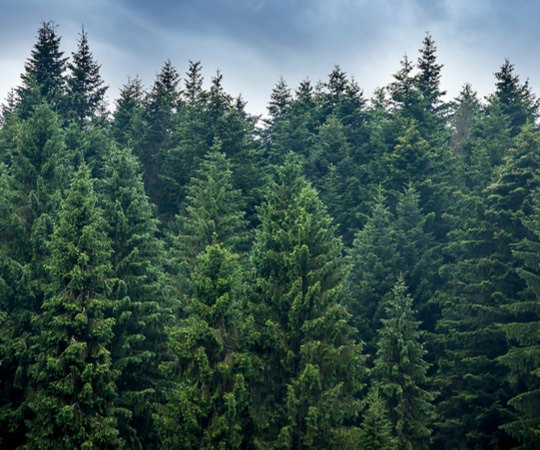cladding-sustainability